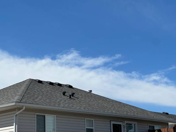 Best Skylight Installation and Repair  in Brookville, OH